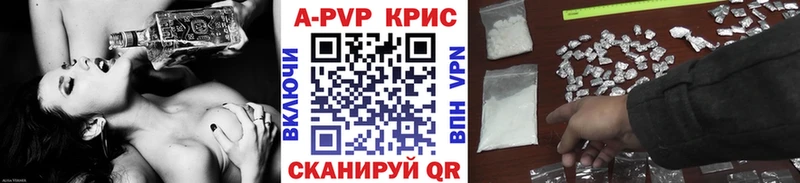 Alfa_PVP СК КРИС  Луга 