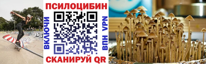 Галлюциногенные грибы Psilocybe  даркнет сайт  Луга 