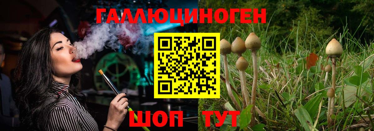 Галлюциногенные грибы Magic Shrooms Луга