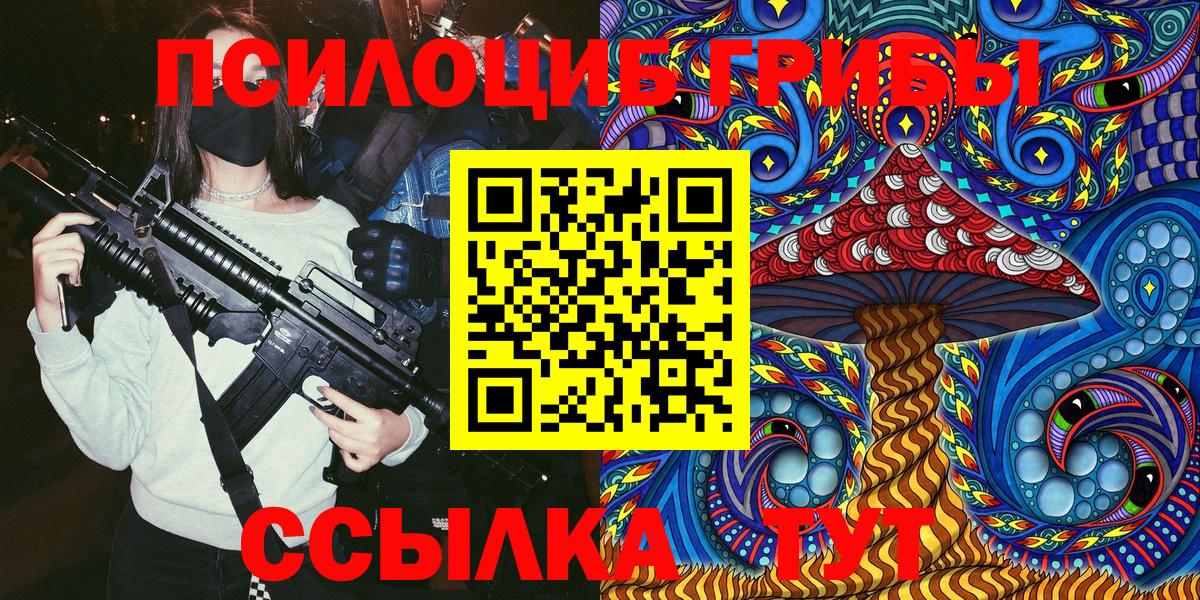 Галлюциногенные грибы прущие грибы  Вход с VPN  Луга 